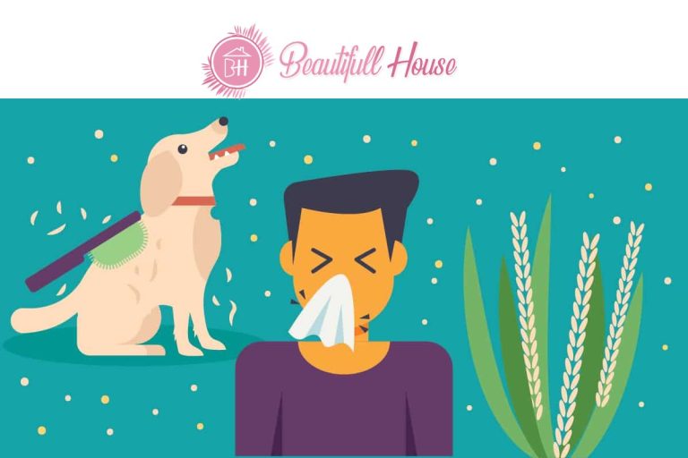 Allergies – Meaning, Common, Causes, Help, And More