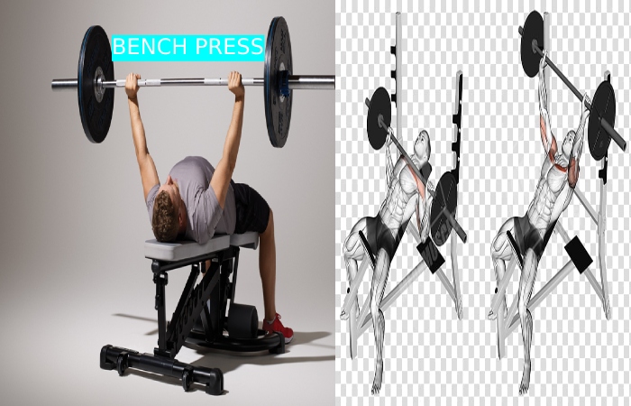 BENCH PRESS