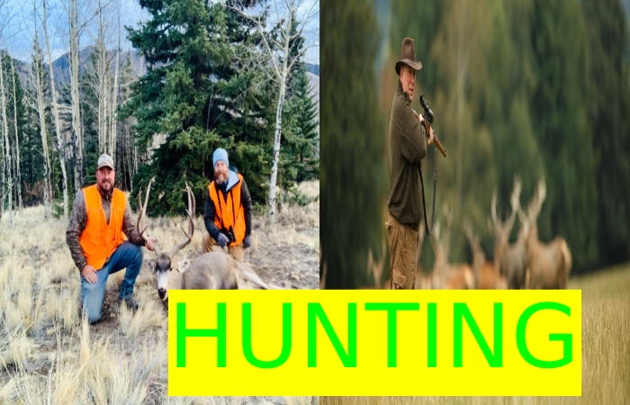 hunting 