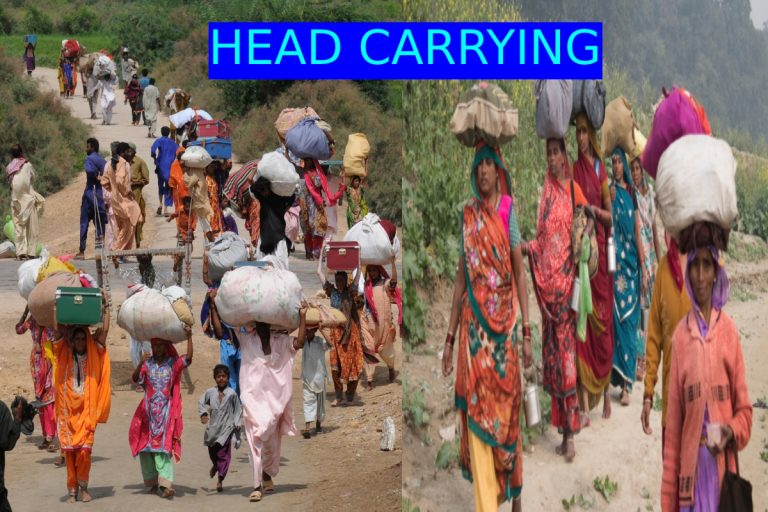 Head-Carrying – Definition, Benefits, Disadvantages, And More