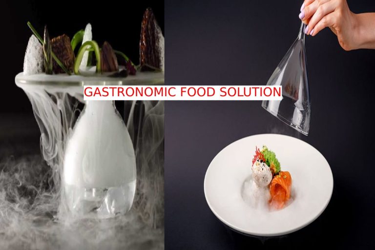 Gastronomic Food Solutions -Explaining, Work, Techniques, And More