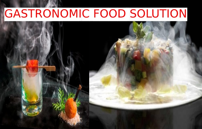 Gastronomic Food Solutions