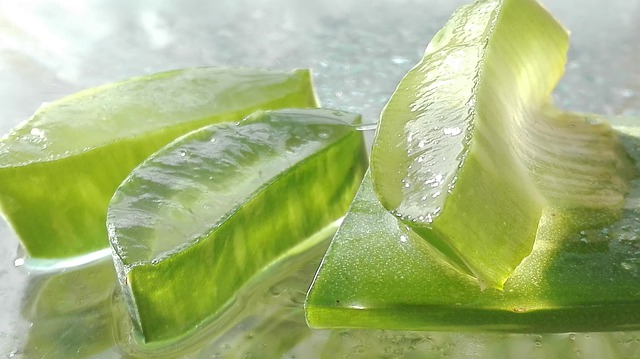 Aloe Vera 