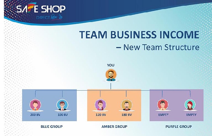 Safe Shop Business Plan